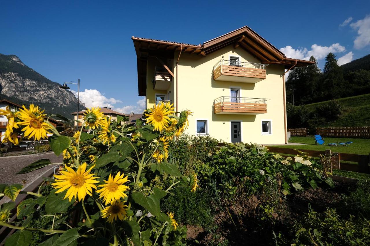 B&B Le Ciorciole Teser im Fleimtal Exterior foto